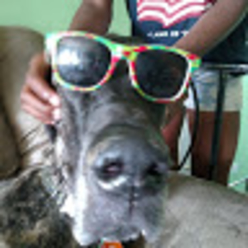 Meet your Posher, Rick